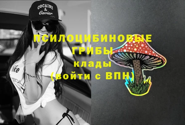 прущая мука Протвино